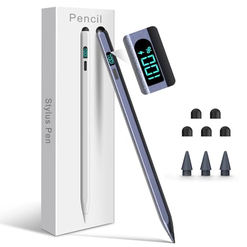 Lápiz para iPad Styluslink 2 en 1 con pantalla LED de batería para modelos 2018 a 2025