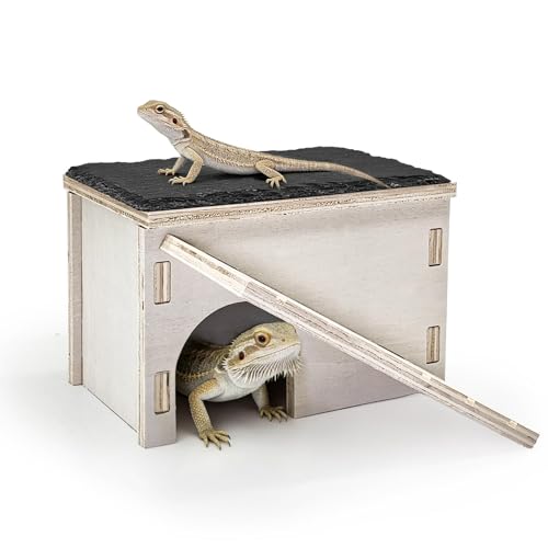 Gxsdj Wooden Basking Platform with Ramp