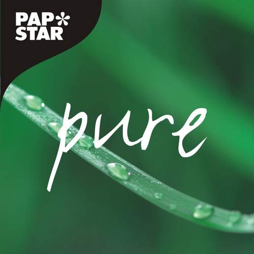 PAPSTAR Messer Holz Pure 10x100Stück