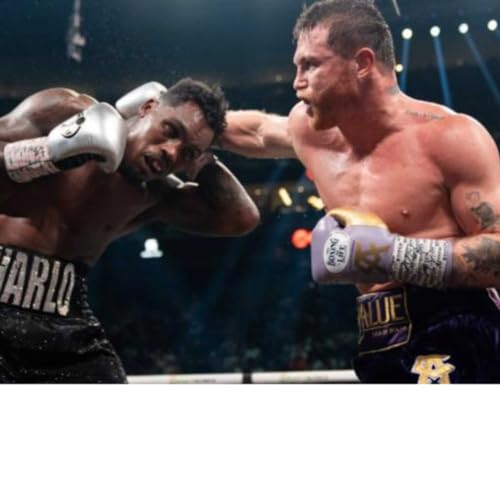 Episode 37: Canelo vs. Charlo Review, Zurdo vs. Joe Smith Fight Week, Haney vs. Prograis Approaching!