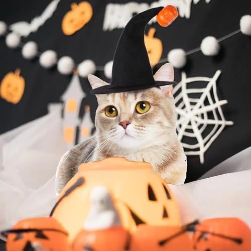 Adereços para fantasia de gato de Halloween - Traje de fantasia de animal de estimação de Halloween