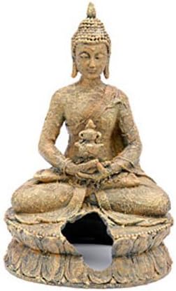 Aquariums - Sitting Buddha