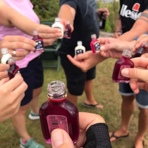 Kleiner Feigling Mix-Paket | 12 FreundeMix | Fussball-EM | mit Anti-Stress-Ball | 12 x 20 ml | Mit 6 Minis verschiedenen Sorten | Party-Shot