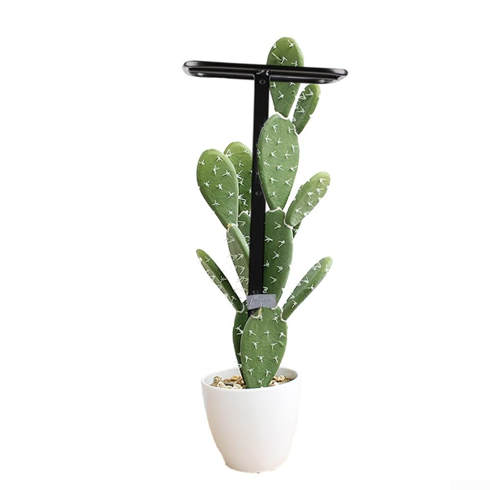 Treillis à fruits pour jardin vertical support plantes extérieures grimpantes