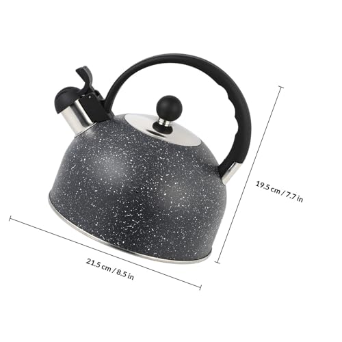 Bouilloire Sifflante en Acier Inoxydable durable noire de 2,5l - 3