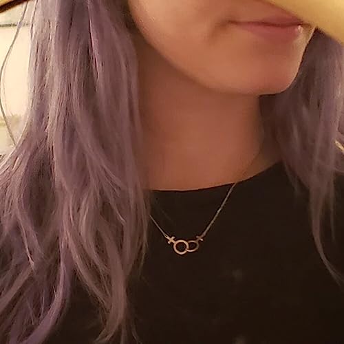 Double Venus Symbol Charm Female Lesbian LGBT Gay Lesbian Necklace Women Pendant Girlslove Les Stainless Steel Sister Jewelry2