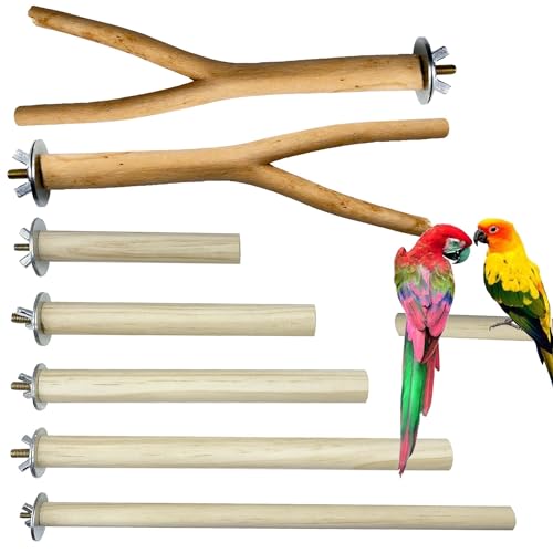 Allazone 7 PCS Perchoirs en Bois pour Oiseau, Branches en Bois pour Cage à Oiseaux, Perchoirs Naturels pour Perroquets, Calopsittes, Canaris