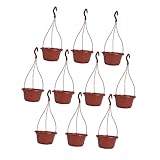 Jardinière murale : présente un style simple, plein de beauté simple, des paniers de fleurs suspendus.