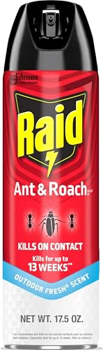 Raid Ant & Roach Killer Spray