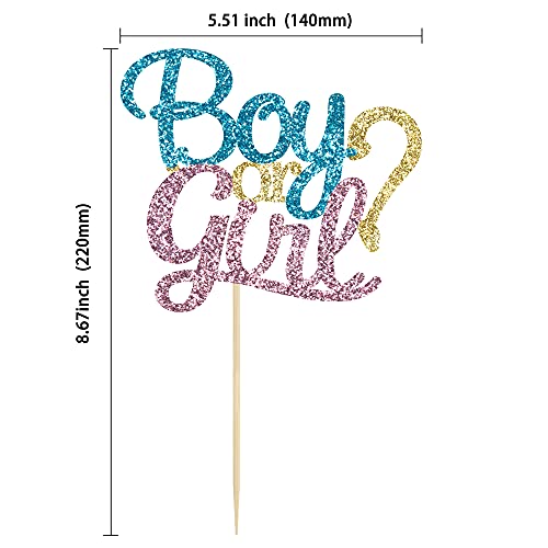 Gyufise 1 Pack Glitter Boy Or Girl Cake Topper Blue And Pink Glitter He Or She Cake Decoration Pick For Baby Shower Gender Reveal Party Decorations Supplies #TOP1