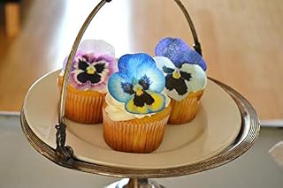 Sugar Robot Inc. Edible Wafer Pansies Premium Crafted Made in the USA Cake and Cupcake Toppers, Decoration (Pansy)