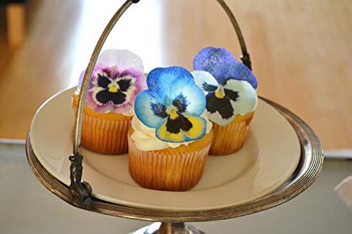 Sugar Robot Inc. Edible Wafer Pansies Premium Crafted Made In The Usa Cake And Cupcake Toppers, Decoration (Pansy) #TOP8