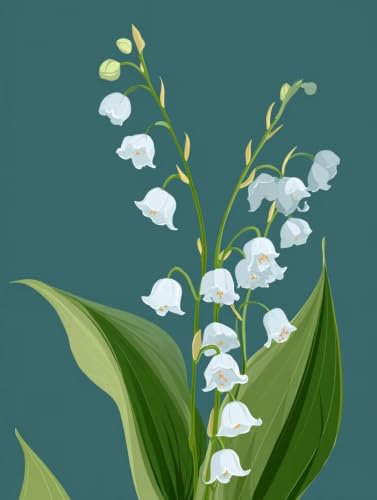 Cuadros para pintar por números adultos de flores de 60x80cm para pintar sin experiencia