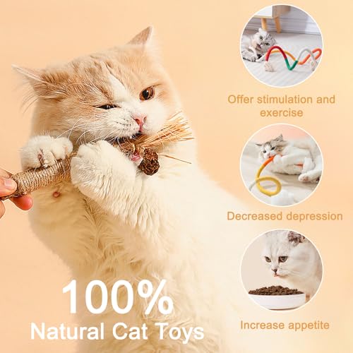 2 Stück Katzenminze Spielzeug – Interaktives Katzenspielzeug mit 2 Beißseilen und 4 Catnip Sticks – Fördert Katzen Zahnpflege und Selbstbeschäftigung – Perfekt für aktive Katzen, Katzenminze Stick.