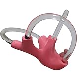 FHUILIJH Left,22cm, Modèle Dynamique des canaux Semi-circulaires avec otolithes - Modèle p...