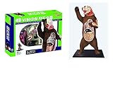 4D Master Vision Bear Anatomy Model Kit, Brown