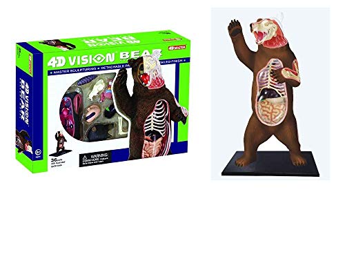 4D Master Vision Bear Anatomy Model Kit, Brown