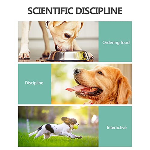 mewmewcat Animal de estimação treinamento campainha a garra de cão imprime reação de animal de estim