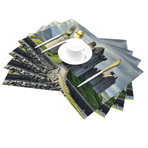 Sets de table lavables en PVC anti-tache pour préserver votre table - 4