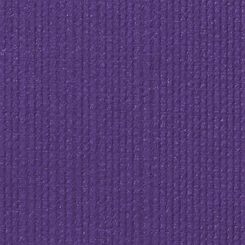 Image of Manduka PRO Yoga and Pilates Mat