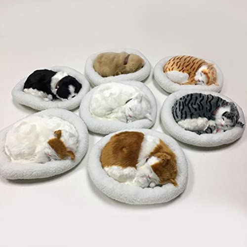 Sleeping Cat Toy Breathing Cat Stuffed Animal Doll with Mat Plush Toys for Children Home Ornament Soft Mat Bed and Simulated Sound (3) - Image 4