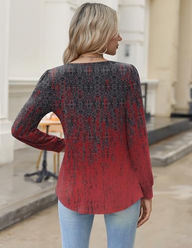 Image of Zeagoo Womens Long Sleeve Tops Fall V Neck Shirt Casual Pleated Tunic Top