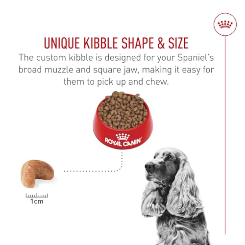 ROYAL CANIN Breed Health Nutrition Cocker Spaniel Adult Dry Dog Food, 25-Pound by Royal Canin