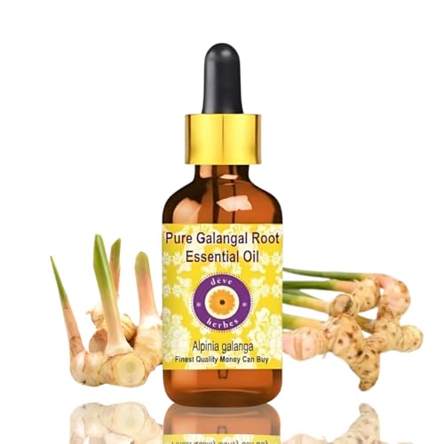 Deve Herbes Pure Galangal Root Essential Oil (Alpinia Galanga) Non-Sticky | Non-Greasy | Warm Spicy Aroma | for Aromatherapy, Massage, Diffuser & Blends 5ml with Glass Dropper