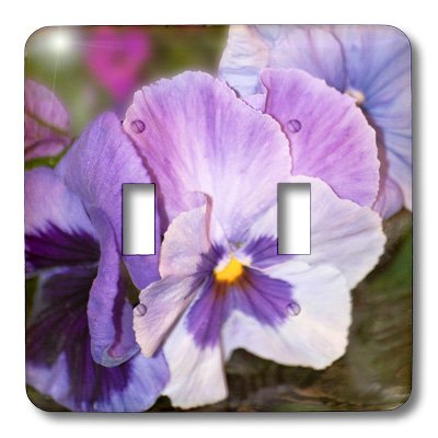 Interrupteur à baïonnette pour remplacer vos plaques de prise ternes - 3