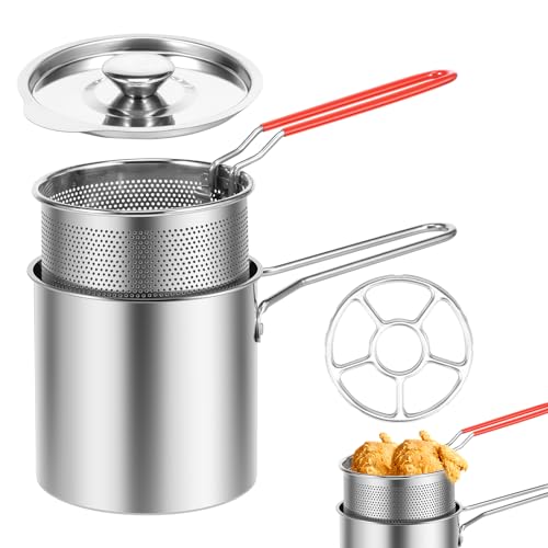 Stainless Steel Mini Deep Fat Fryer with Strainer