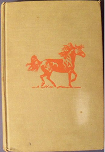lost horse B00201BKQA Book Cover