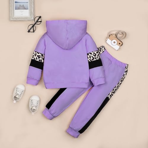 Girls Clothes Toddler Fall Outfits Long Sleeve Hoodie Sweatshirt Tops + Sweatpants 2 Pieces 2-7Y3
