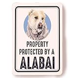 alabai dog Tamaño 20x30 cm visible sin ser excesivamente grande