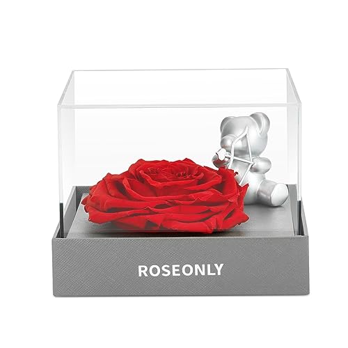 roseonly. Ewige Rose mit Amor, Konservierte Rosen, Infinity Rosenbox, Geschenke für Frauen zum Geburtstag, Valentinstag, Weihnacht, Hochzeitstag, Jubiläum