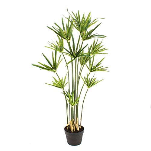 Affascinante decorazione per: soggiorni, pianerottoli, foyer, sale d'aspetto, uffici, studi, ristoranti, vetrine, hotel e ogni luogo a cui vogliate dare un tocco di verde senza impegno.