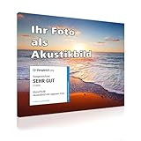 AbsorPic