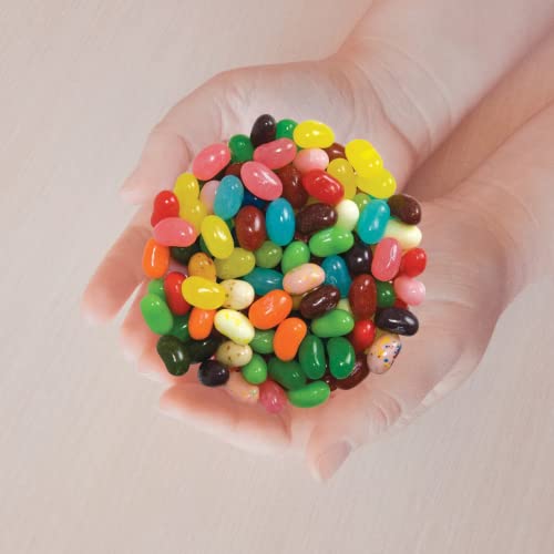 20 Assorted Jelly Bean Flavors, Gourmet Candy For Christmas Stocking Stuffers Shareable Fruit Flavored Bite Size Candies, Pack Of 2 #TOP5