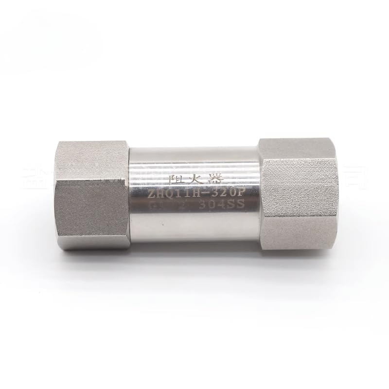 Pare-flamme en acier inoxydable 304 robuste avec filetage 2"
