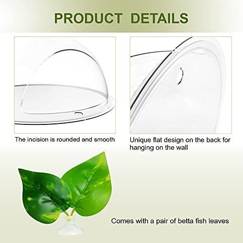 Noodoky Betta Fish Tank Bowl, Wall Mounted Beta Fish Small Aquarium, Hanging Plastic Wall Decor for Plant Fish Ecosphere - Image 4