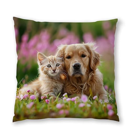 Housses de coussin imperméables 45x45 cm pour protéger vos oreillers de canapé
