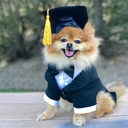 Gorro de graduación para perros y gatos con borla amarilla miniatura 3