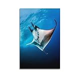 NOHF Poster mit Meerestieren, Manta-Rochen, Poster, 