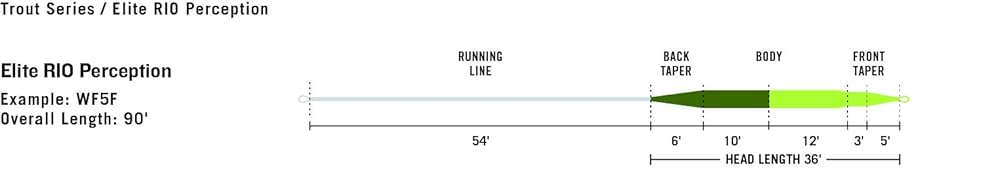 Amazon.com : Rio Elite Rio Perception, Grn, WF6F : Sports