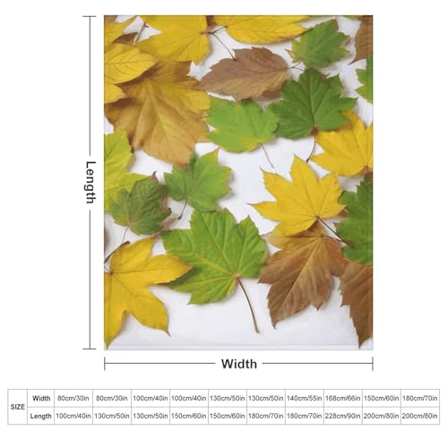 Couverture flanelle premium feuilles, une douceur d'exception pour lit et canapé
