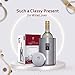 IPUJAN Wine Chiller Bucket with Stainless Ice Stone - Champagne Bucket for 750ml Single Bottle Cold up to 5 Hours - Iceless Insulated Double Walled White Wine Cooler Bucket (Silver)