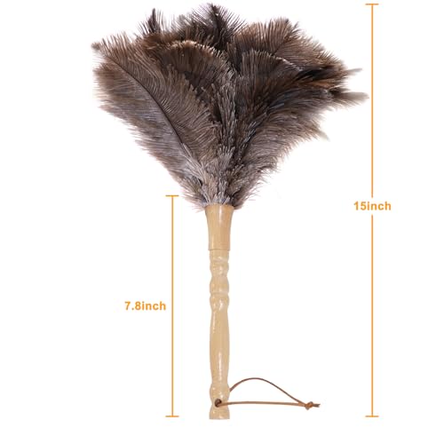Image of Genuine Ostrich Feather Duster 15 inch