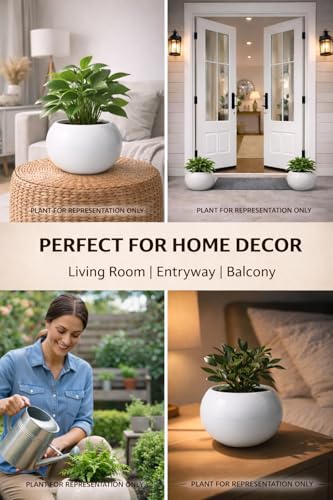Image of Ceramic Plant Pots, Clay Flower Pot with Drainage Hole, Decorative Modern Indoor Planters, Home Garden Decor for Living Room Bedroom Interior (White)