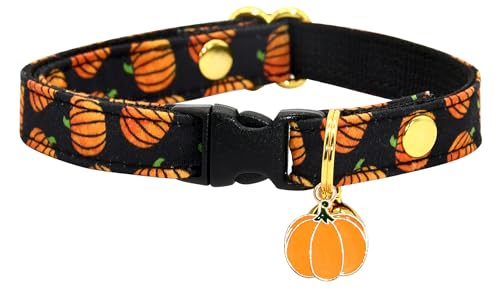 Cat Collar with Charm Halloween Pumpkin Safety Breakaway Kitten Collar