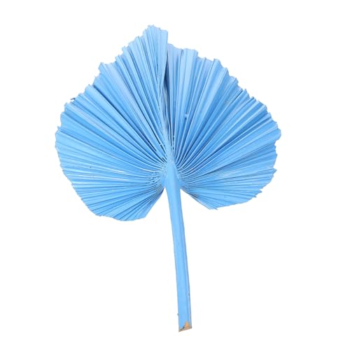 Hojas de Palma Secas Decorativas para Hogar y Fiesta