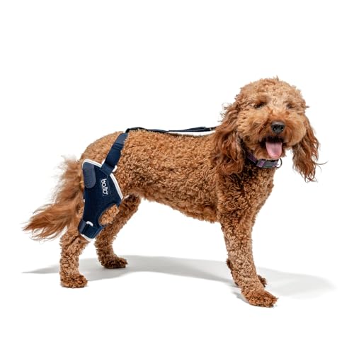 Image of Balto Jump Dog Knee Brace - Orthopedic ACL /CCL Support for Dogs - Adjustable Leg Stabilizer for Joint Pain, Injury Recovery & Arthritis - Vet-Approved Canine Knee Support (Small, Left Leg)